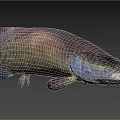 Vibrant Freshwater Fish With Iridescent Scales In Natural Habitat Near Grassland And Trees