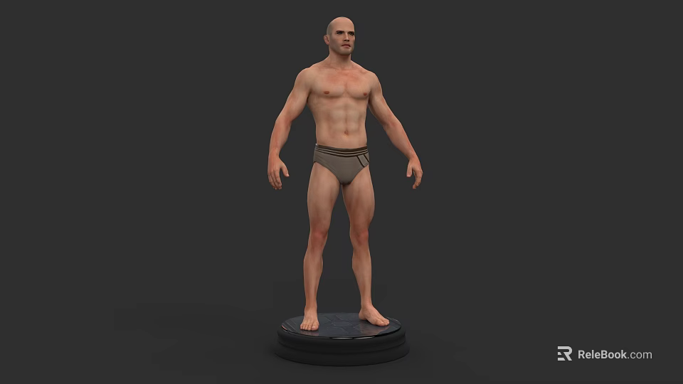 3D Model Of Human Organ System Showing Male Anatomical Body Structure On Base 3d model 