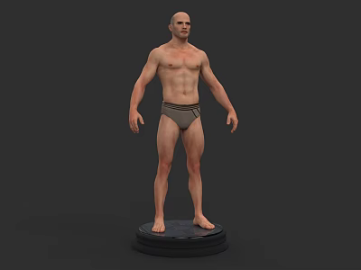 3D Model Of Human Organ System Showing Male Anatomical Body Structure On Base 3d model