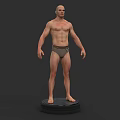 3D Model Of Human Organ System Showing Male Anatomical Body Structure On Base