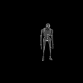 Intelligent Machine Two Black Humanoid Robots With Front Back Views Mechanical Design Articulated Joints