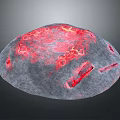 Glowing Lava Rock Surface With Red Illuminated Cracks And Patterns