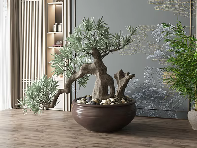 Stylish Bonsai Tree in Brown Pot with Pebbles Grey Wall Golden Patterns Wooden Floor Indoor 3d model