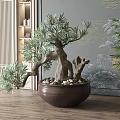 Stylish Bonsai Tree in Brown Pot with Pebbles Grey Wall Golden Patterns Wooden Floor Indoor