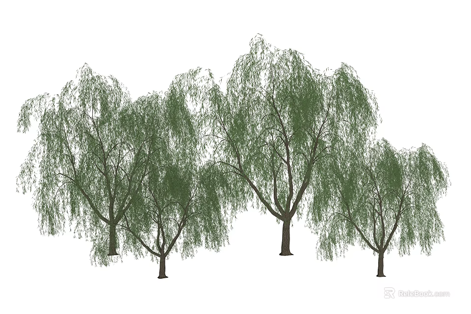 Willow Trees With Weeping Branches And Lush Green Foliage In Garden 3d model 