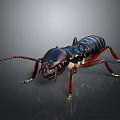 Detailed Realistic Cockroach With Dark Body And Red Legs On Gray Background