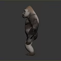 Realistic Gorilla 3D Character Model Standing With Muscular Body And Detailed Structure