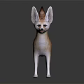 Fennec Fox With Large Ears Tan Fur And Long Tail On Shiny Black Surface