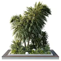 Outdoor Tree Planter with Lush Green Trees Various Plants and Natural Foliage