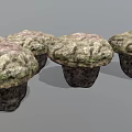 Set of Four Natural Mushroom Shaped Wooden Stone Decorative Pieces With Textured Surface