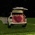 White SUV Open Trunk Filled With Red Roses Under Starry Night Sky And Green Grass