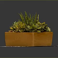 Healthy Green Succulent Plants In Orange Rectangular Planter With Mixed Foliage