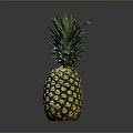 Fresh Ripe Pineapple With Green Leaves And Golden Textured Skin