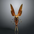 Brown And Gold Cicada With Patterned Wings Detailed Model Standing Pose 3d model