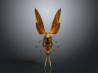 Brown And Gold Cicada With Patterned Wings Detailed Model Standing Pose 3d model