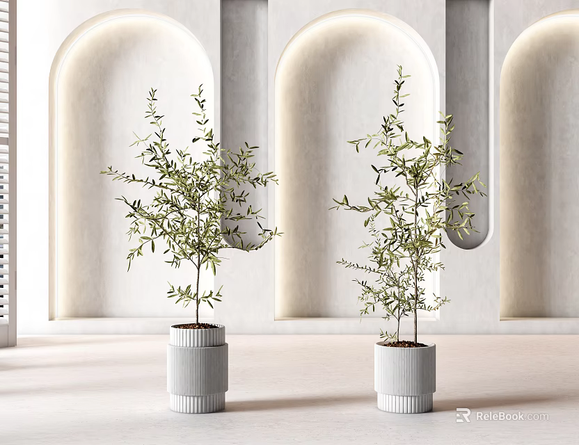 Two Bonsai Plants in Modern White Textured Pots with Archway Wall Background 3d model 