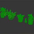 Beautiful Indoor Potted Plants With Green Variegated Leaves And Stylish Ceramic Planters