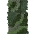 Lush Living Plant Wall Vertical Garden Design With Various Green Plants And Natural Mossy Textures