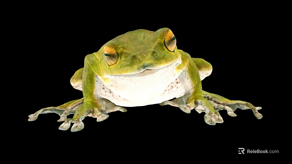 Green Reptile With Yellow Eyes White Belly And Spread Limbs On Black Background 3d model 