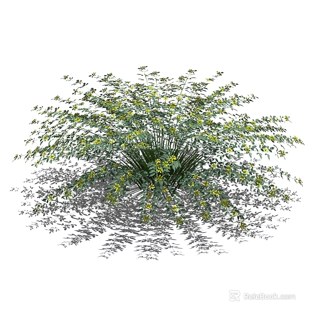 Lush Green Shrub With Small Yellow Flowers And Dense Foliage In Natural Light 3d model 