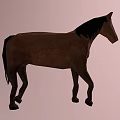 Brown Horse Animated Game Character 3D Model with Standing Pose 3d model