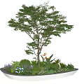 Decorative Flower Planter With Small Tree Various Plants And Colorful Flowers