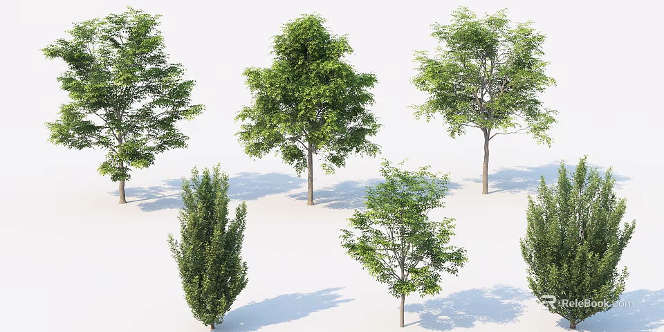 Various Arbor Trees With Different Shapes And Lush Green Foliage For Landscape Design 3d model 