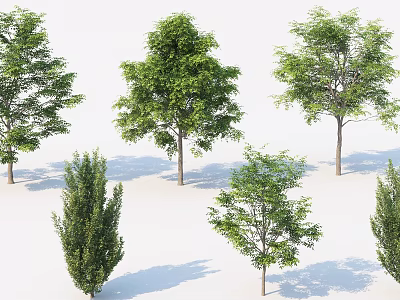 Various Arbor Trees With Different Shapes And Lush Green Foliage For Landscape Design 3d model