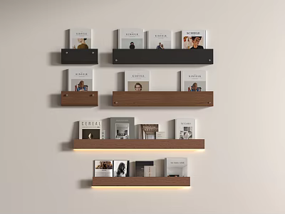 Modern Bookshelf 3d model