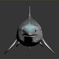 shark great white shark whale shark hammerhead shark tiger head shark man-eating shark blue shark coral red coral white coral 3d model