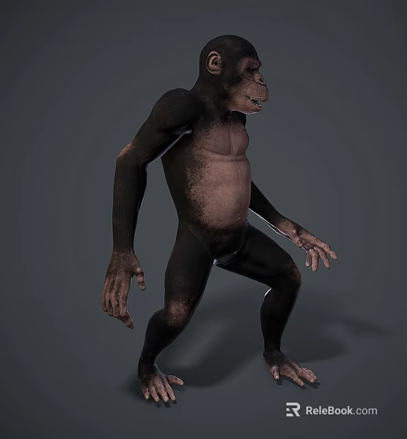 Reptile Lizard With Scaly Skin Basking On Warm Rock Surface 3d model 