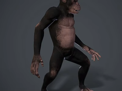 Reptile Lizard With Scaly Skin Basking On Warm Rock Surface 3d model