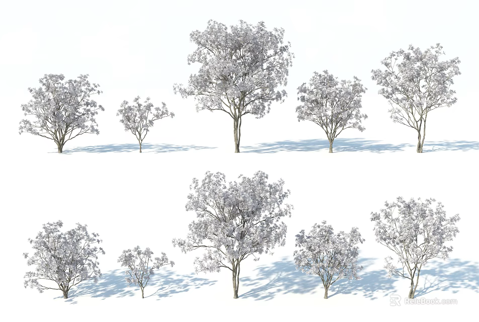Arbor Varieties In Different Sizes And Shapes With Natural Shadow Effects 3d model