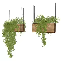 Lush Trailing Greenery In Wooden Hanging Planters For Stylish Home Decor
