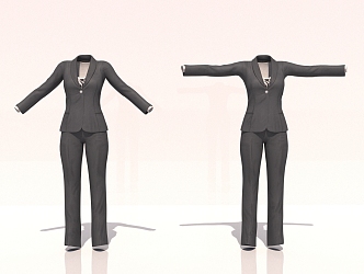 Suit Women Suit Business Clothing 3d model