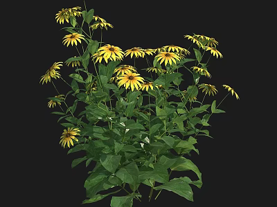 Vibrant Fresh Yellow Flowers And Green Leaves Blooming In Black Background 3d model