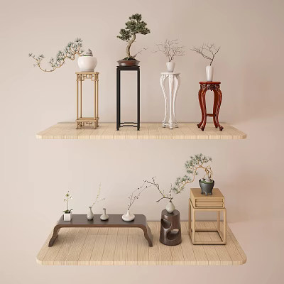 Stylish Plant Stands With Various Designs And Decorative Plants For Home Decor 3d model