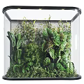 Lush Indoor Landscape With Diverse Green Plants Metal Grid Background And Transparent Ceiling