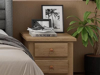 Wooden Bedside Table with Drawers Holding The Sun Also Rises Book Photo Frames Green Plant 3d model