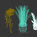 Different Types Of Indoor Green Plants With Long Leaves Hanging Vines And Decorative Pots