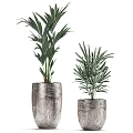 Bonsai Potted Plants in Silver Textured Pots with Green Foliage for Indoor Decoration
