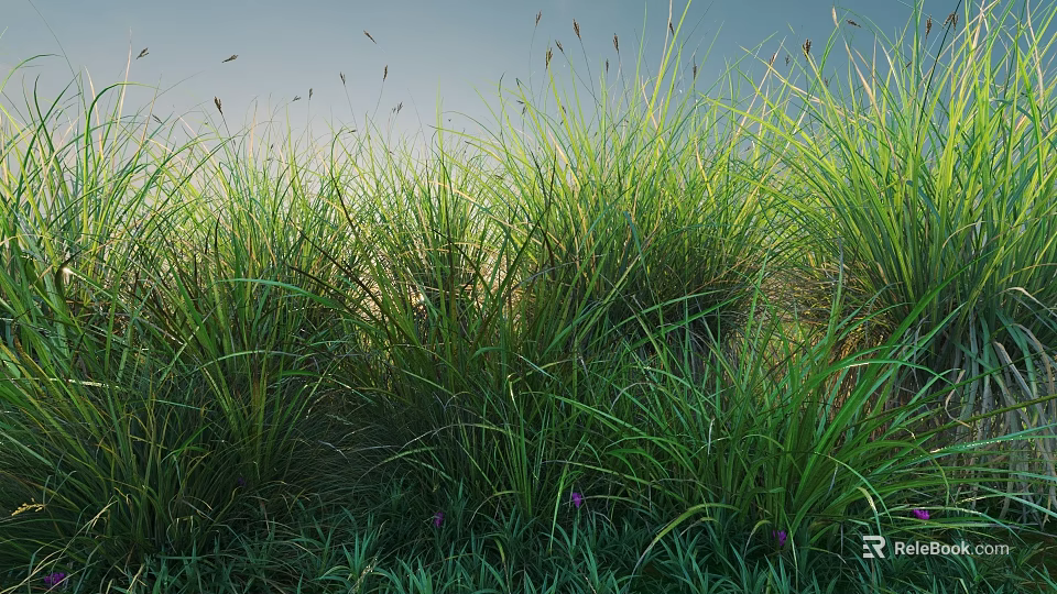 Lush Green Shrubs In Sunlit Garden With Tall Grass And Purple Flowers 3d model 