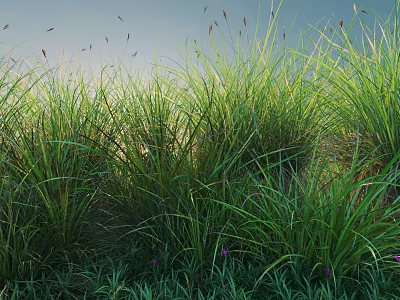 Lush Green Shrubs In Sunlit Garden With Tall Grass And Purple Flowers 3d model