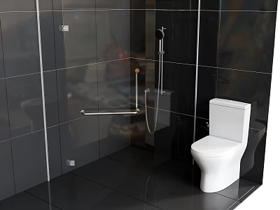 Modern Bathroom Interior With White Toilet Black Tiled Walls And Shower Fixtures 3d model