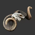 Detailed Ram Skull With Large Curved Horns Isolated On Black Background