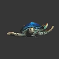 Vibrant Turtle with Blue Shell Green and Orange Limbs on Black Smooth Surface with Reflection 3d model