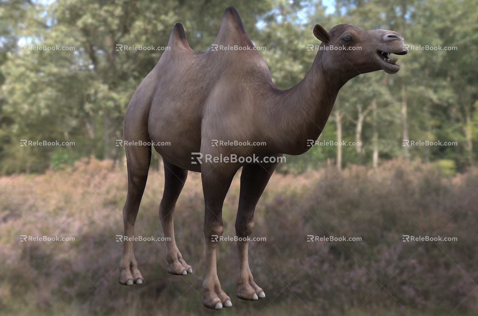 Modern Wild Bactrian Camel Animal Creatures 3d model