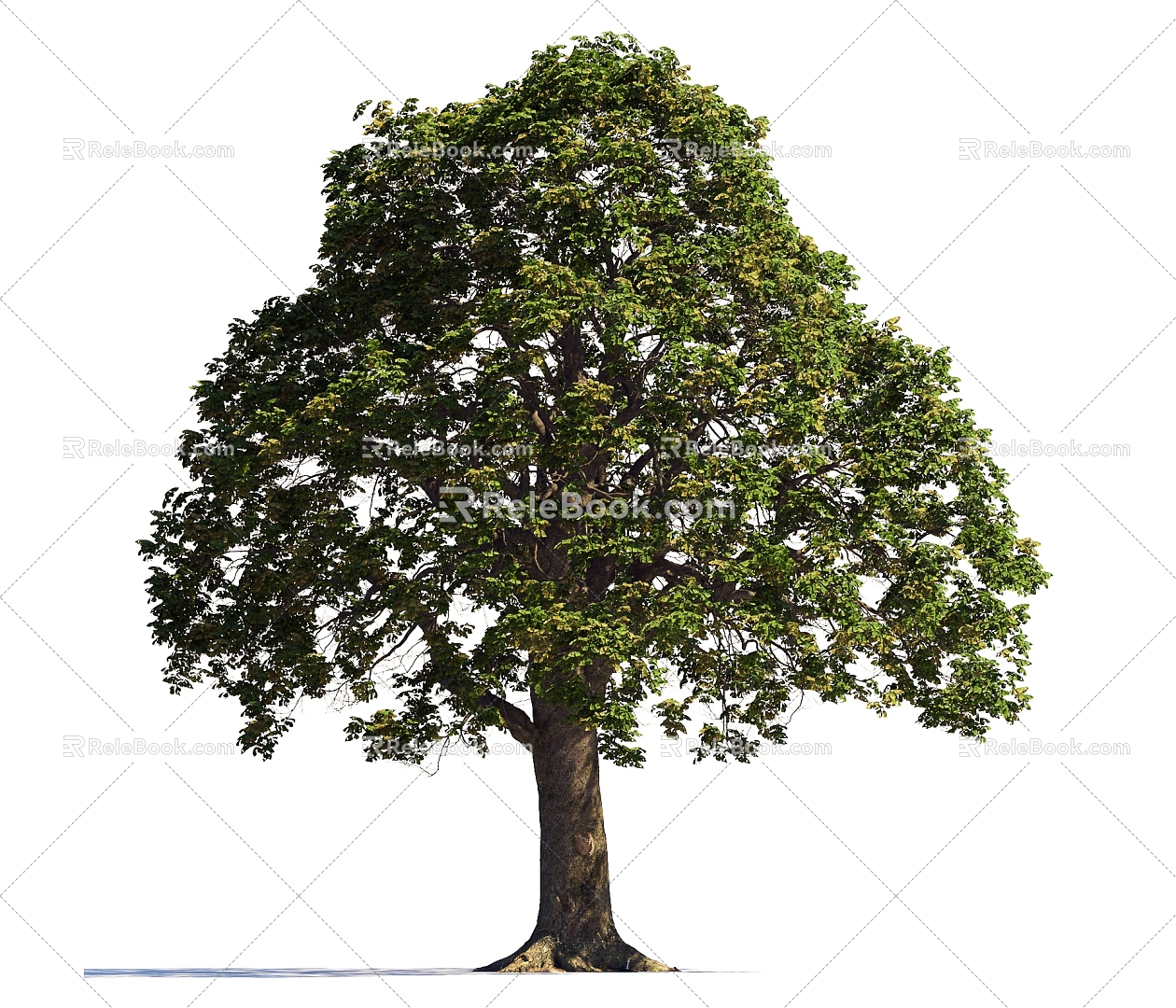 Summer Trees Trees Roadside Trees Street Trees Community Greening Landscape Trees Garden Greening Trees Poplar Trees Elm Trees 3d model