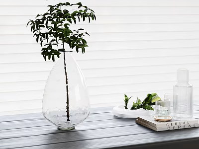 Transparent Teardrop Vase With Green Plant On Wooden Table White Tray Clear Bottle Book 3d model