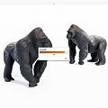 Realistic Gorilla Statues Standing On White Background In Studio 3d model